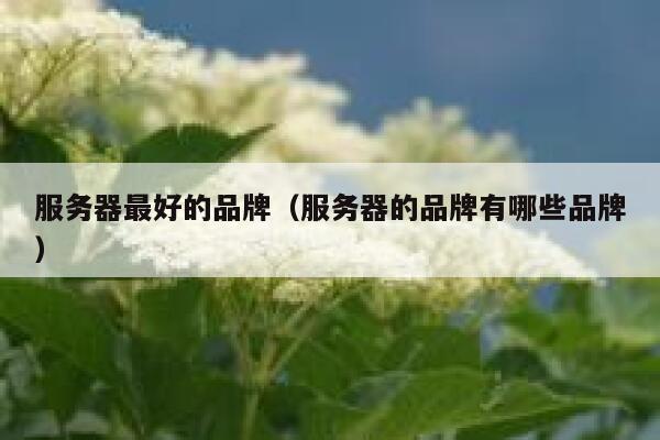 服务器最好的品牌（服务器的品牌有哪些品牌） 第1张