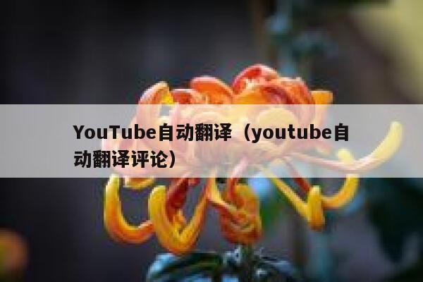 YouTube自动翻译（youtube自动翻译评论） 第1张