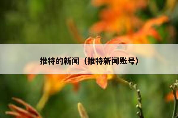 推特的新闻（推特新闻账号） 第1张