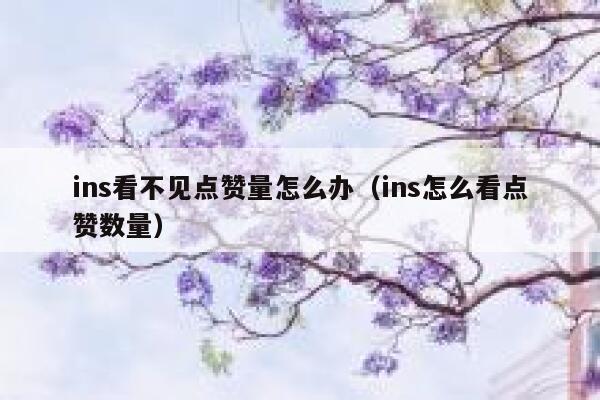 ins看不见点赞量怎么办（ins怎么看点赞数量） 第1张