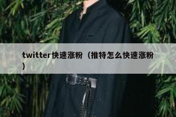 twitter快速涨粉（推特怎么快速涨粉） 第1张