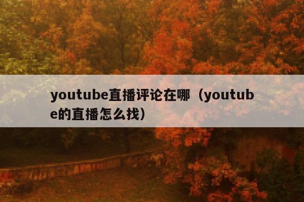youtube直播评论在哪（youtube的直播怎么找） 第1张