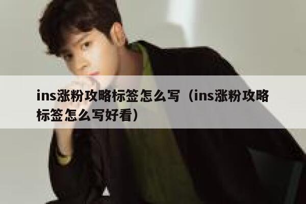 ins涨粉攻略标签怎么写（ins涨粉攻略标签怎么写好看） 第1张