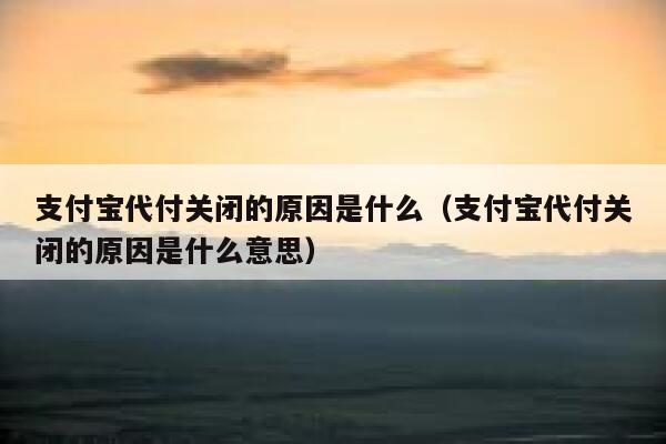 支付宝代付关闭的原因是什么（支付宝代付关闭的原因是什么意思） 第1张