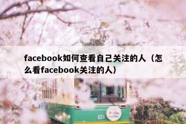 facebook如何查看自己关注的人（怎么看facebook关注的人） 第1张
