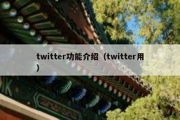 twitter功能介绍（twitter用） 第1张