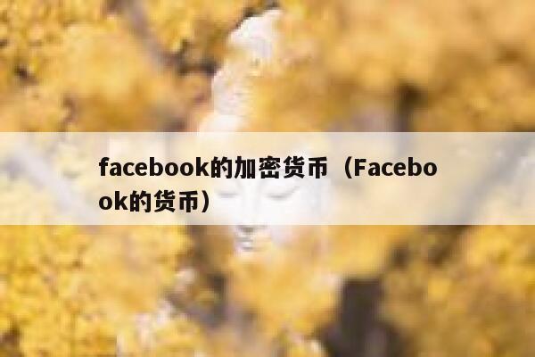 facebook的加密货币（Facebook的货币） 第1张
