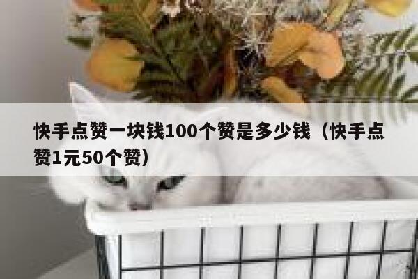 快手点赞一块钱100个赞是多少钱（快手点赞1元50个赞） 第1张