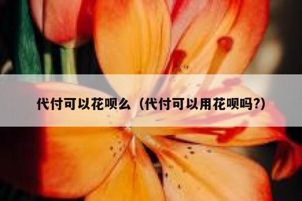 代付可以花呗么（代付可以用花呗吗?） 第1张