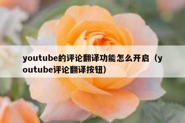 youtube的评论翻译功能怎么开启（youtube评论翻译按钮） 第1张