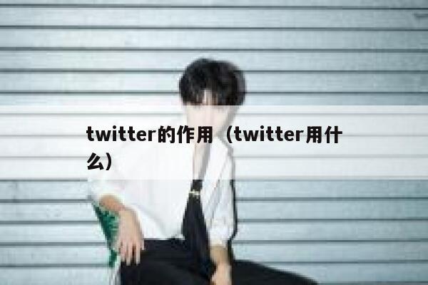 twitter的作用（twitter用什么） 第1张