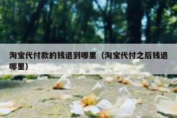 淘宝代付款的钱退到哪里（淘宝代付之后钱退哪里） 第1张