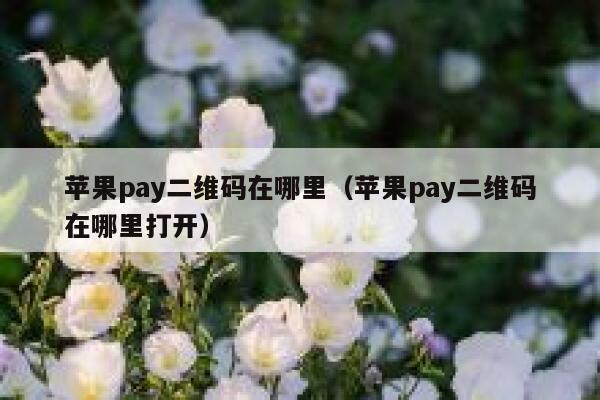 苹果pay二维码在哪里（苹果pay二维码在哪里打开） 第1张
