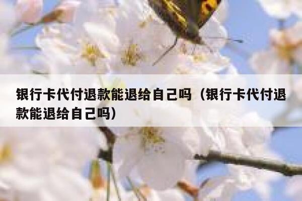 银行卡代付退款能退给自己吗（银行卡代付退款能退给自己吗） 第1张