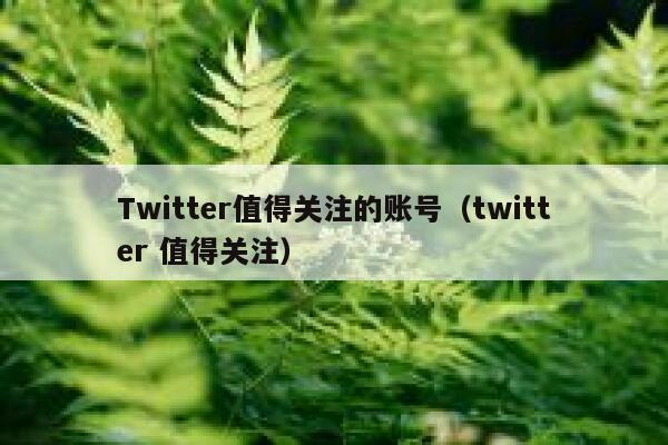 Twitter值得关注的账号（twitter 值得关注） 第1张