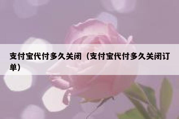 支付宝代付多久关闭（支付宝代付多久关闭订单） 第1张