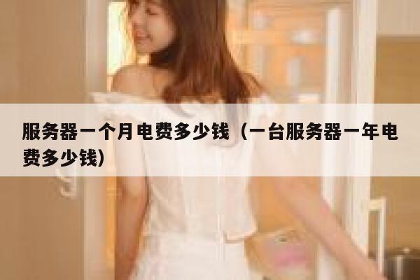 服务器一个月电费多少钱（一台服务器一年电费多少钱） 第1张
