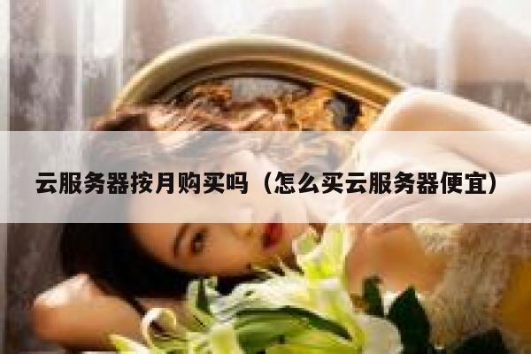 云服务器按月购买吗（怎么买云服务器便宜） 第1张