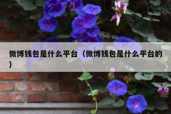 微博钱包是什么平台（微博钱包是什么平台的） 第1张
