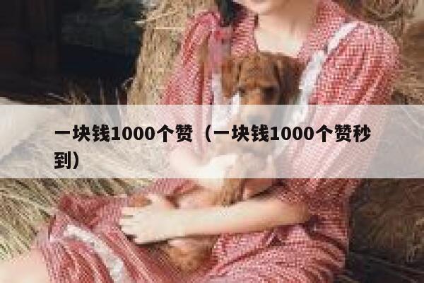 一块钱1000个赞（一块钱1000个赞秒到） 第1张