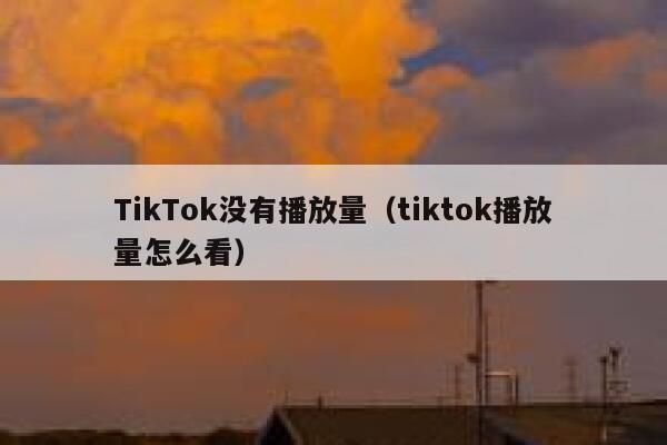 TikTok没有播放量（tiktok播放量怎么看） 第1张