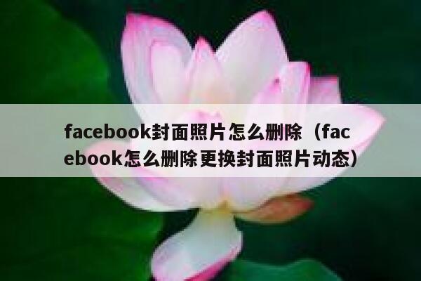 facebook封面照片怎么删除（facebook怎么删除更换封面照片动态） 第1张