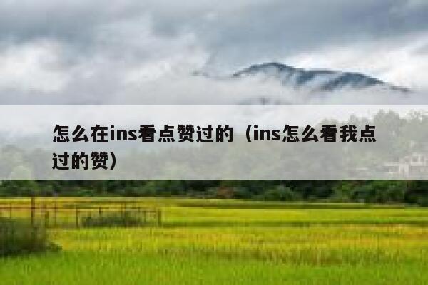 怎么在ins看点赞过的（ins怎么看我点过的赞） 第1张