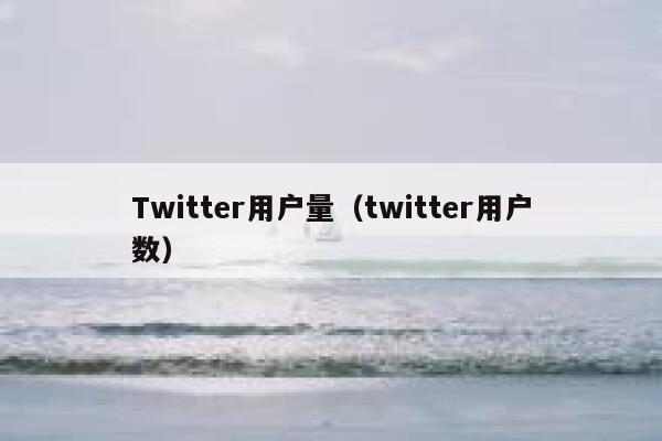 Twitter用户量(twitter用户数) 第1张 Twitter用户量(twitter用户数) 第1张
