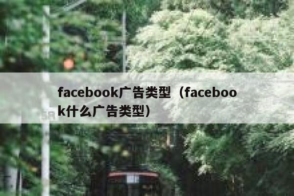facebook广告类型（facebook什么广告类型） 第1张