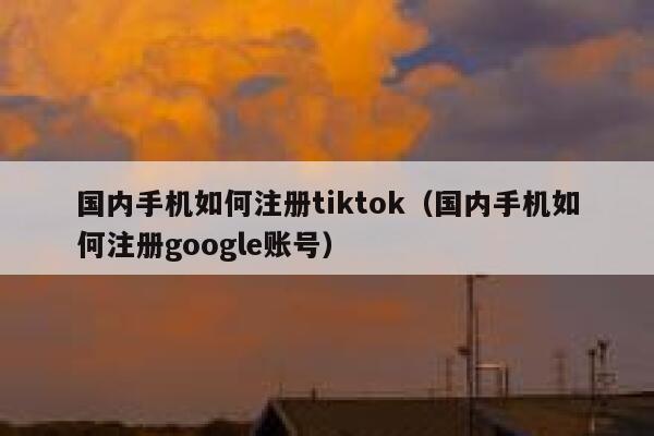国内手机如何注册tiktok（国内手机如何注册google账号） 第1张