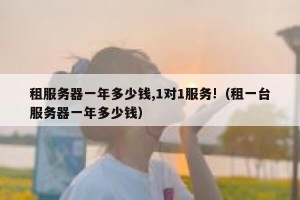 租服务器一年多少钱,1对1服务!（租一台服务器一年多少钱） 第1张