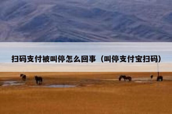 扫码支付被叫停怎么回事（叫停支付宝扫码） 第1张