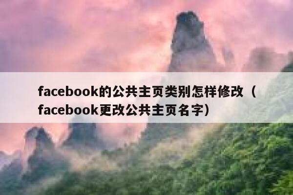 facebook的公共主页类别怎样修改（facebook更改公共主页名字） 第1张