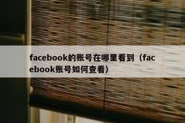 facebook的账号在哪里看到（facebook账号如何查看） 第1张
