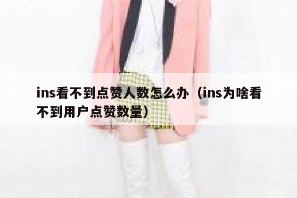 ins看不到点赞人数怎么办（ins为啥看不到用户点赞数量） 第1张