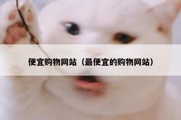 便宜购物网站（最便宜的购物网站） 第1张