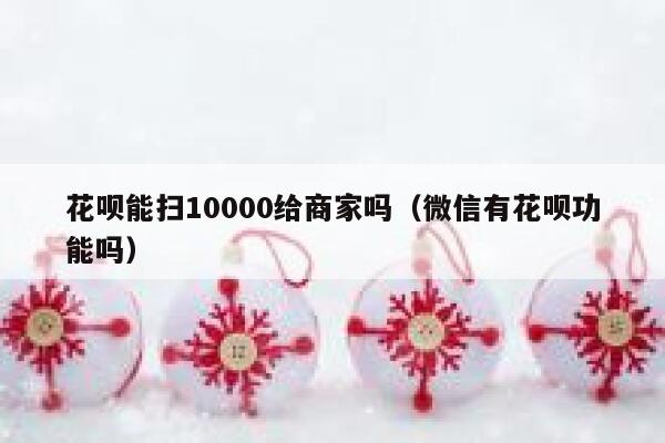 花呗能扫10000给商家吗(微信有花呗功能吗) 第1张 花呗能扫10000给商家吗(微信有花呗功能吗) 第1张