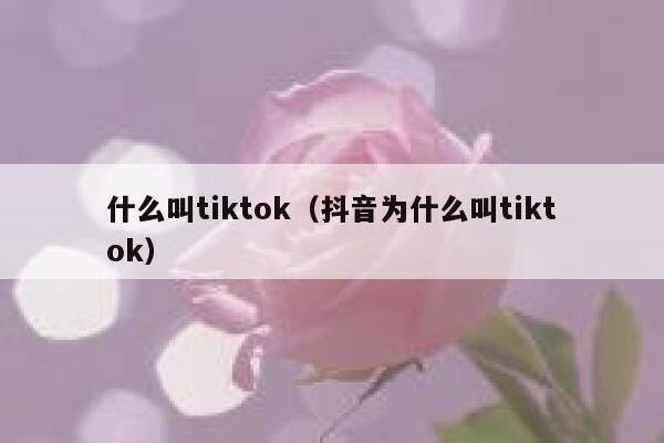 什么叫tiktok（抖音为什么叫tiktok） 第1张