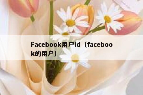 Facebook用户id（facebook的用户） 第1张