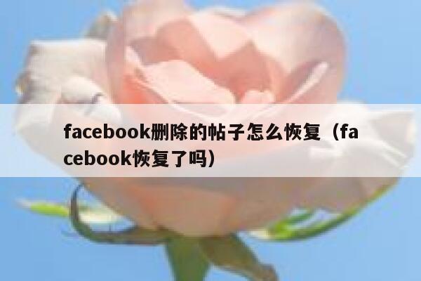 facebook删除的帖子怎么恢复(facebook恢复了吗) 第1张 facebook删除的帖子怎么恢复(facebook恢复了吗) 第1张