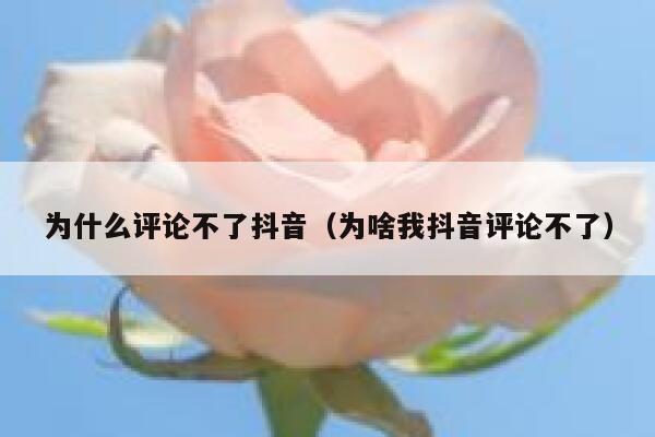 为什么评论不了抖音（为啥我抖音评论不了） 第1张