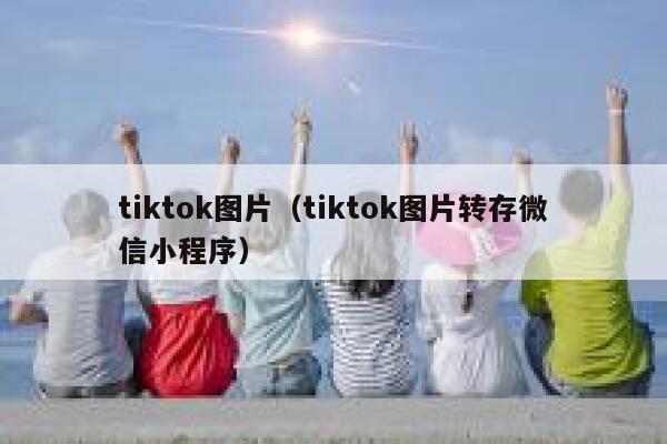 tiktok图片（tiktok图片转存微信小程序） 第1张