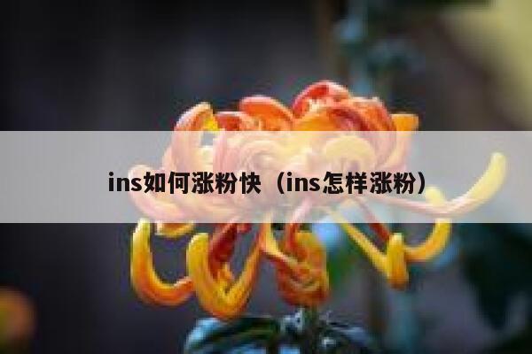 ins如何涨粉快（ins怎样涨粉） 第1张