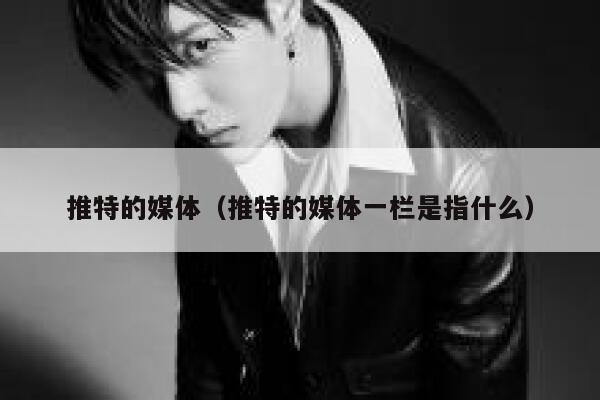 推特的媒体（推特的媒体一栏是指什么） 第1张