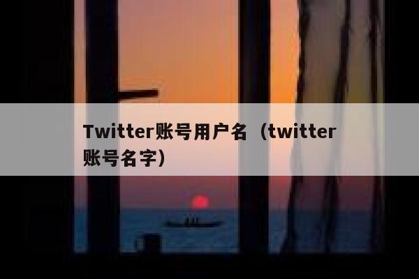 Twitter账号用户名（twitter账号名字） 第1张
