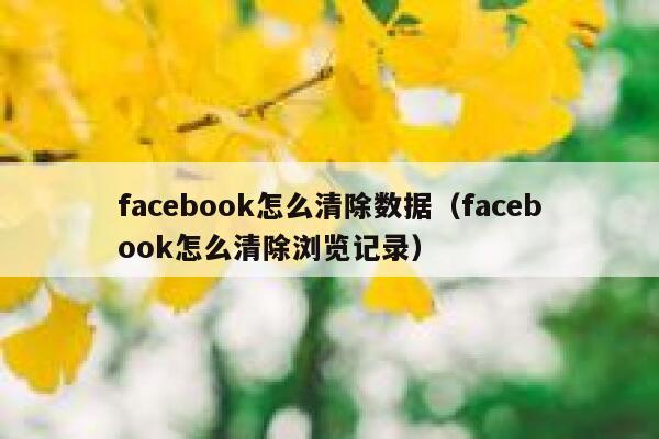 facebook怎么清除数据（facebook怎么清除浏览记录） 第1张