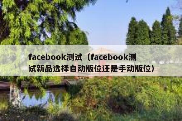 facebook测试（facebook测试新品选择自动版位还是手动版位） 第1张