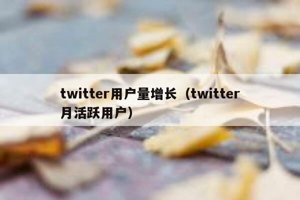 twitter用户量增长（twitter月活跃用户） 第1张