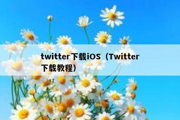 twitter下载iOS（Twitter下载教程） 第1张