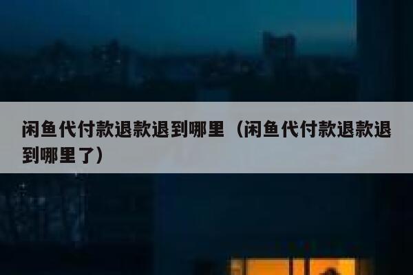 闲鱼代付款退款退到哪里（闲鱼代付款退款退到哪里了） 第1张